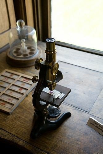 Methylation clocks and their correlation with chronological age